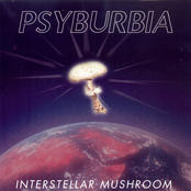Psyburbia ‎– Interstellar Mushroom 2002