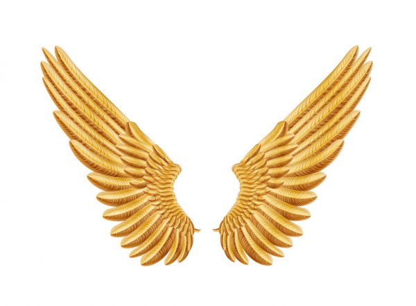 depositphotos_13772539-stock-illustration-golden-wings.jpg