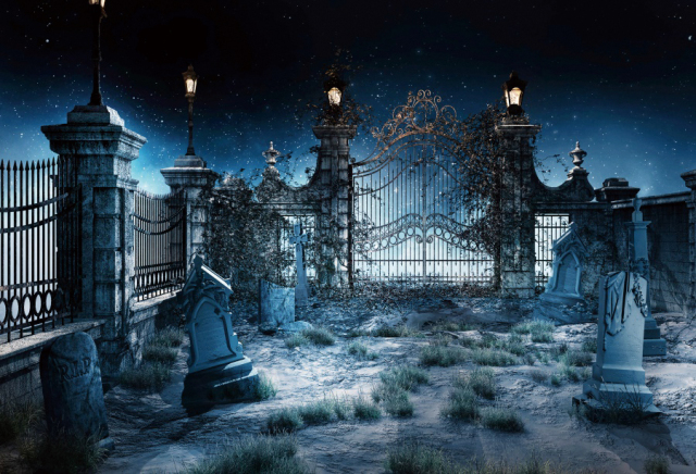 Halloween-Backdrops-For-Photography-Tomb-Park-Star-Terrible-Night-Party-Scene-Photography-Backgrounds-Photocall-For-Photo.jpg_640x640.jpg