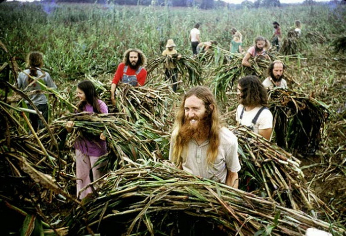 Americas-Hippie-Communes-4.jpg